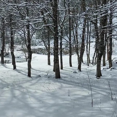 公寓 Casa Isabel 安索