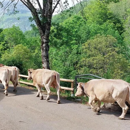 Casa Isabel 公寓 *