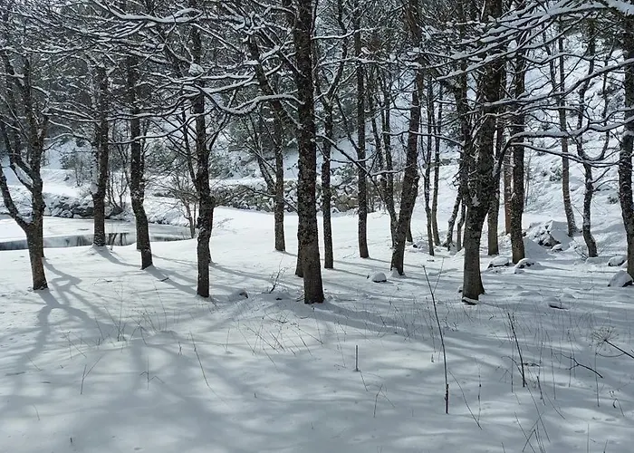 Appartamento Casa Isabel Ansó