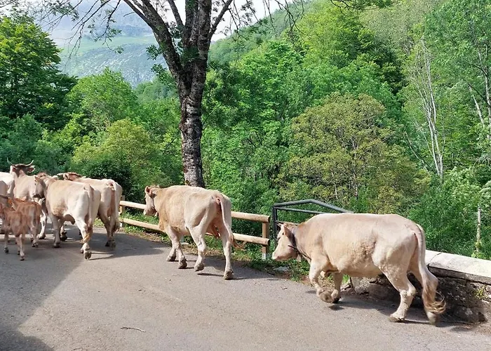 Casa Isabel Appartamento *